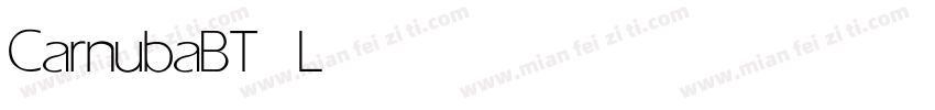 CarnubaBT Light字体转换